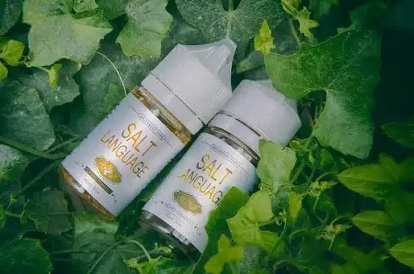 DM_20240619181150_003.webp DM 20240619181150 003